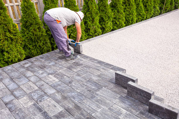Best Driveway Paving Contractor  in Carrizo Hill, TX