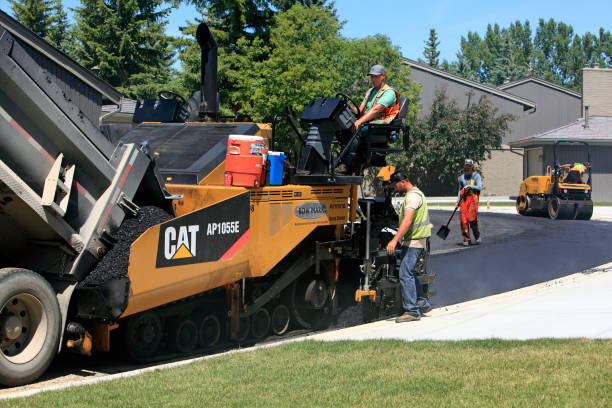 Best Local Driveway Pavers  in Carrizo Hill, TX